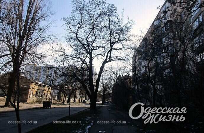 Одесская улица Головковская, тень у дома