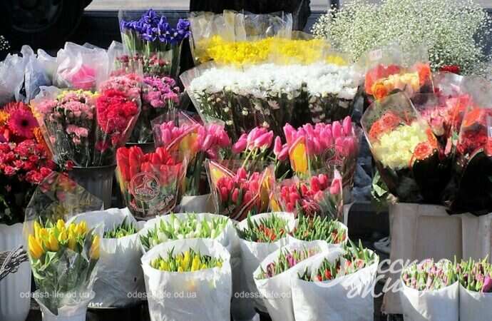 Одесский Новый базар, тюльпаны