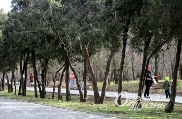 Парк, аллея