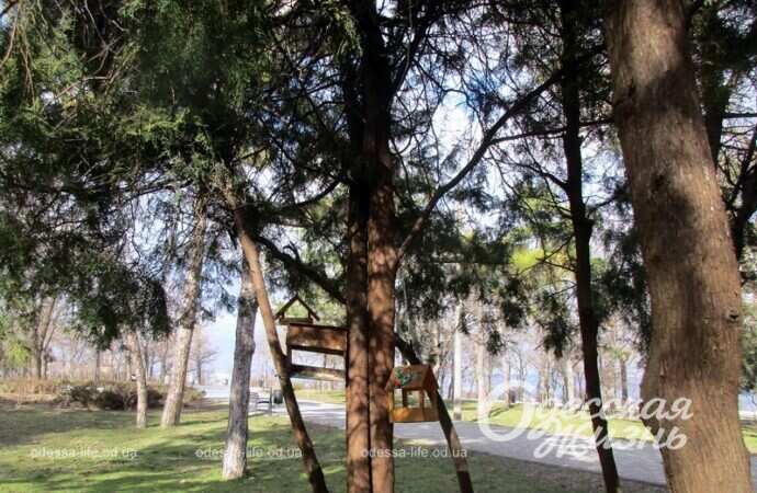 Кормушки для птиц и белок