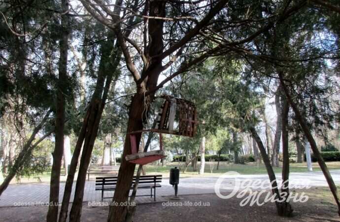 Аллея в парке