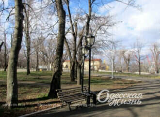 Февраль по-одесски: старый парк задышал весной на военном положении (фоторепортаж)