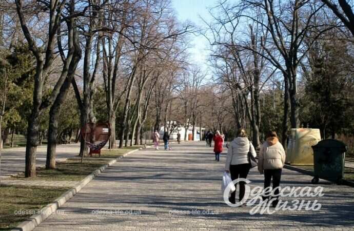 В одесском парке Шевченко