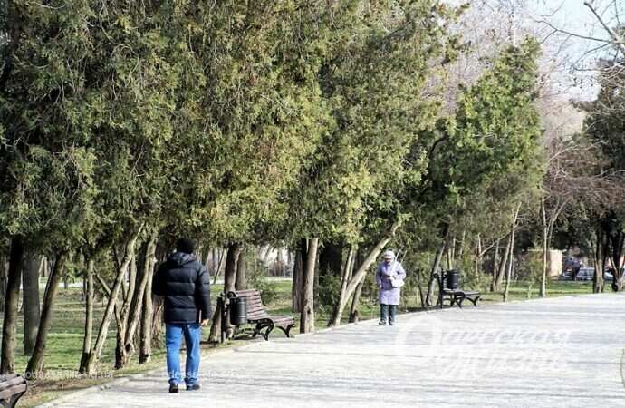 Парковая аллея