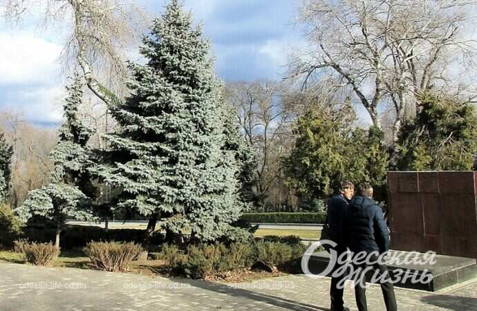 В парке Шевченко, Одесса