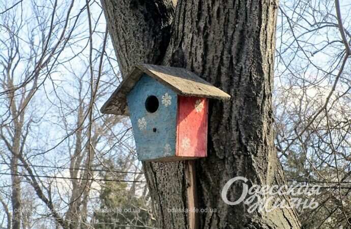 Скворечник на дереве