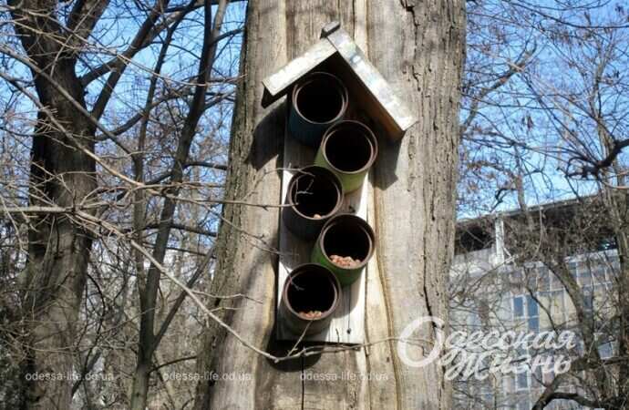 Оригинальная кормушка для птиц