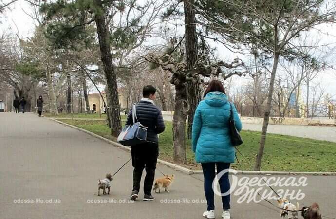 Одесситы гуляют в парке