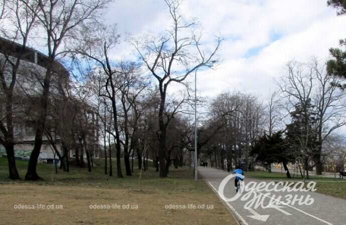 Парк Шевченко, Одесса