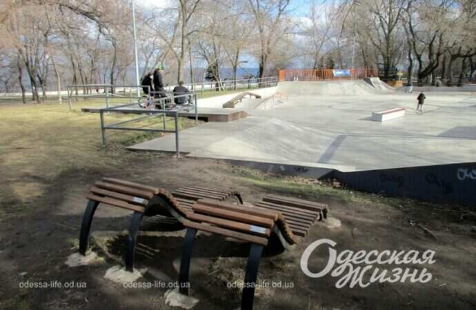 Отдых в парке