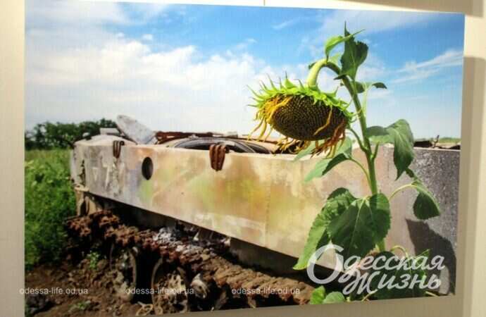 Танк и подсолнух