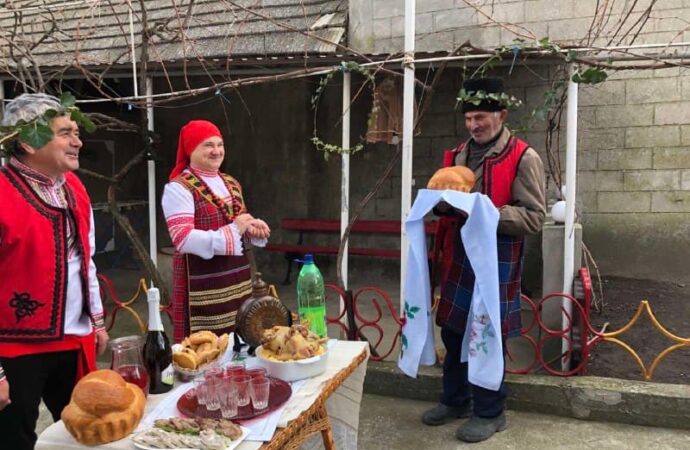 Секрет болгарского вина: как проходит обряд первой обрезки виноградной лозы