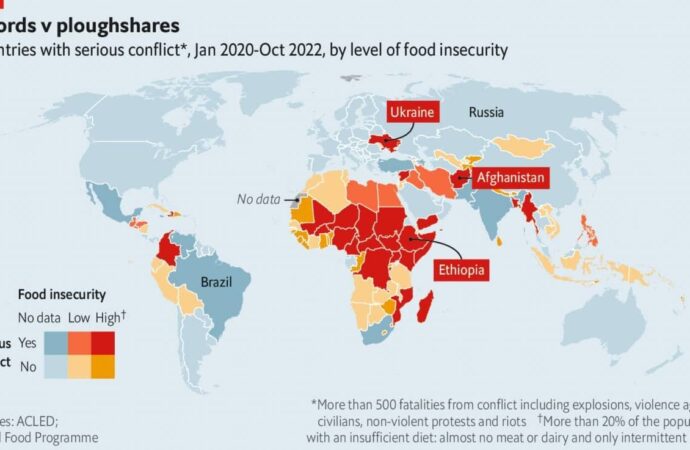 ООН. Перелік країн, яким загрожує голод