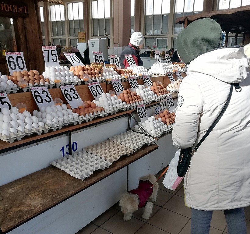 Продажа яиц на Привозе