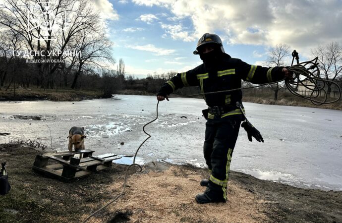 Одесит та його пес провалилися під лід: історія порятунку (фото)