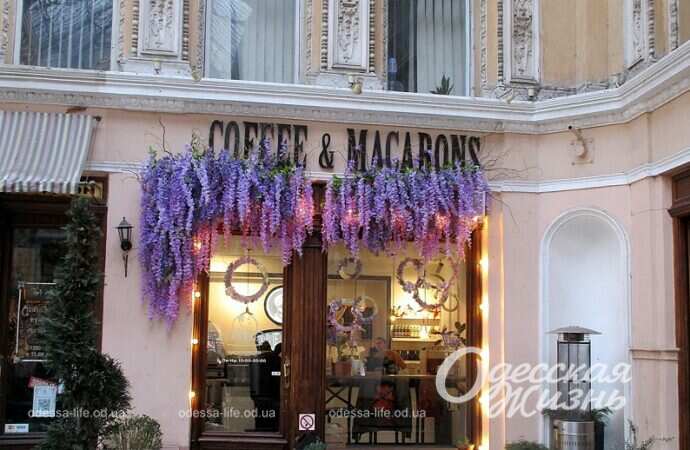 Одесский Пассаж, цветы