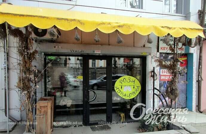 кафе в Одессе