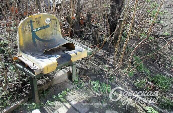 Дырявый стул стал арт-объектом