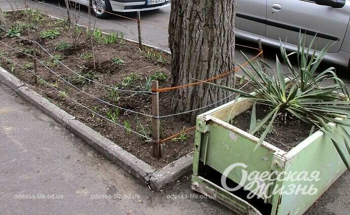 Уличная клумба