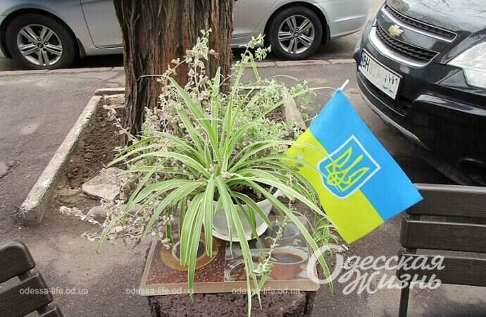 Цветы и флажок