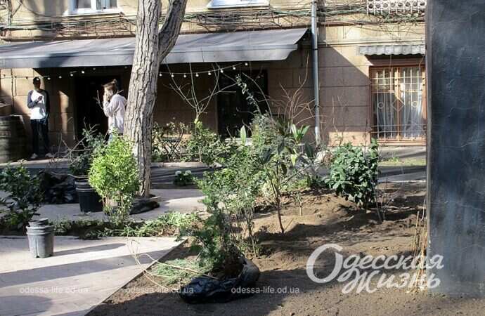 Палисадник в Одессе