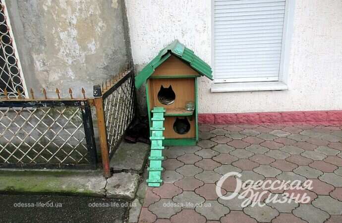Кошачий домик