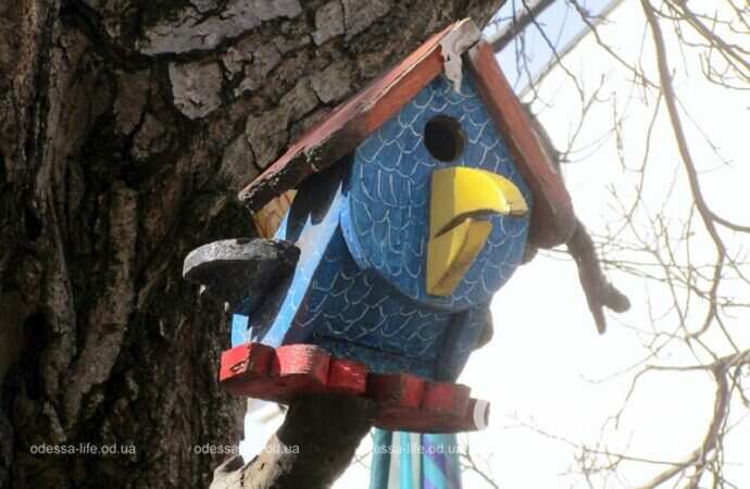 Одесский арт-дворовик, птичка