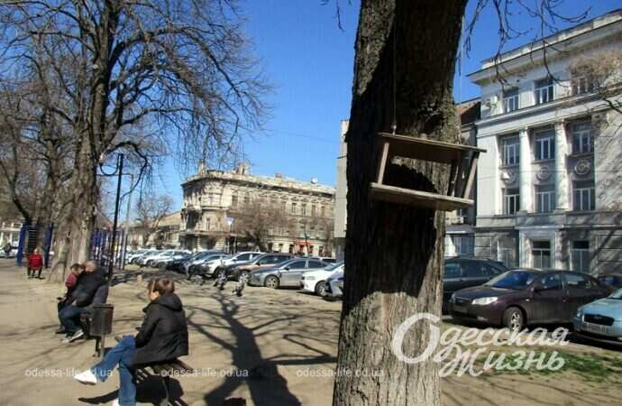 Кормушка на дереве