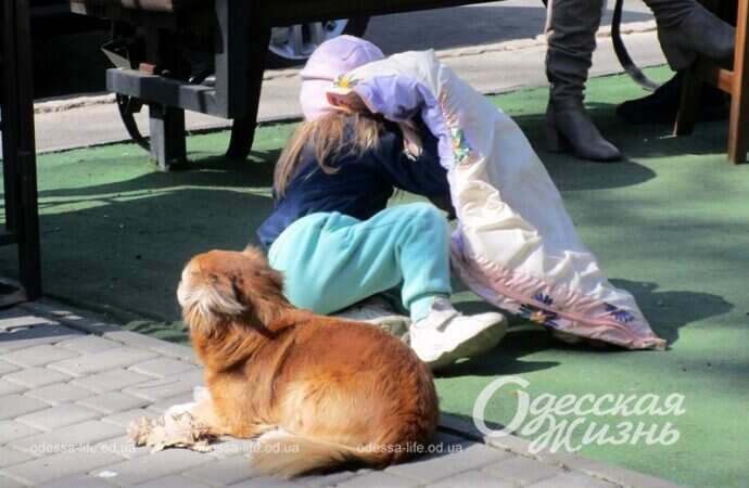 Ребенок и собака