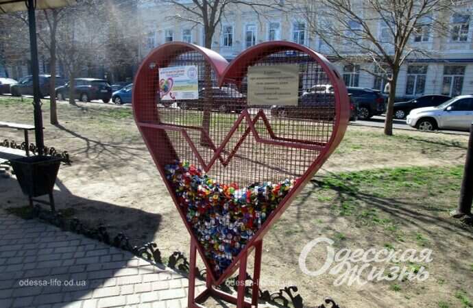 Пластиковое сердце