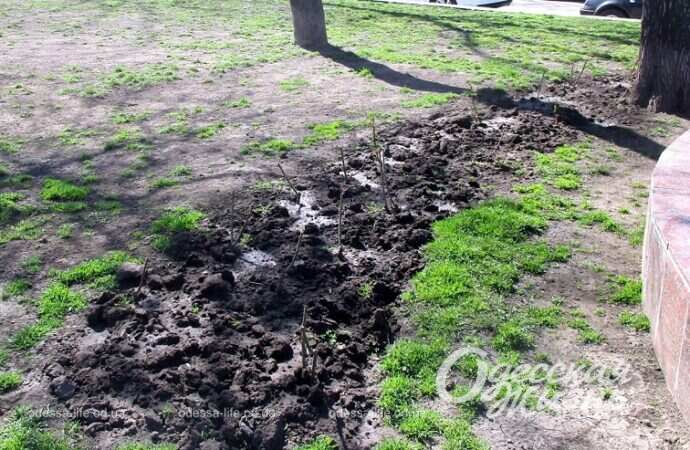 Земля весной