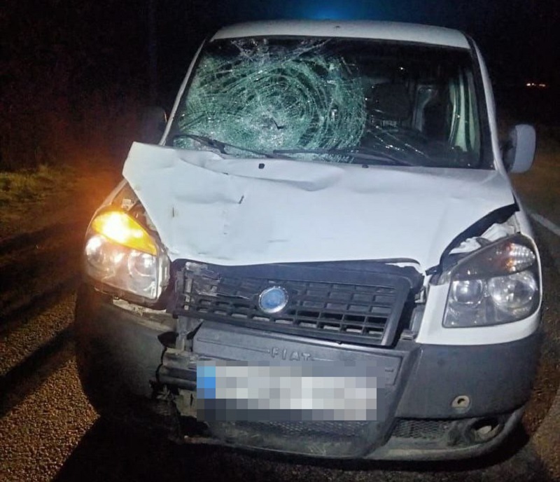 Водитель Fiat Doblo сбил насмерть пешехода