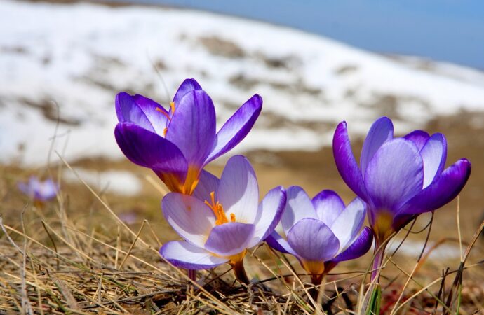 Погода в Одессе 7 марта: весна вступает в свои права?