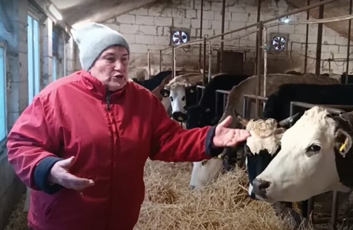 Светлана Маслова с коровами