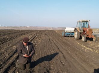 Украинские аграрии могут отказаться от посева зерновых