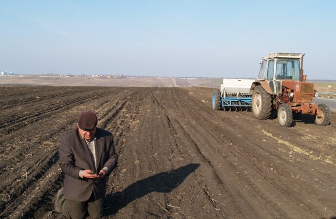 Українські аграрії можуть відмовитися від посіву зернових