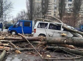 В Одессе падающие деревья давят людей и машины (фото)