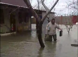 Сильный шторм затопил поселок Затока в Одесской области (видео)