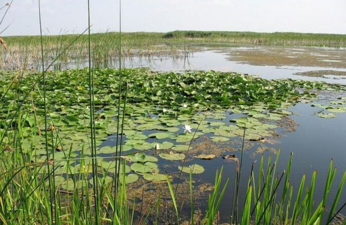 озеро Кагул в Одесской области