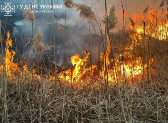 Одесситов предупреждают о высокой пожарной опасности 5 и 6 июня