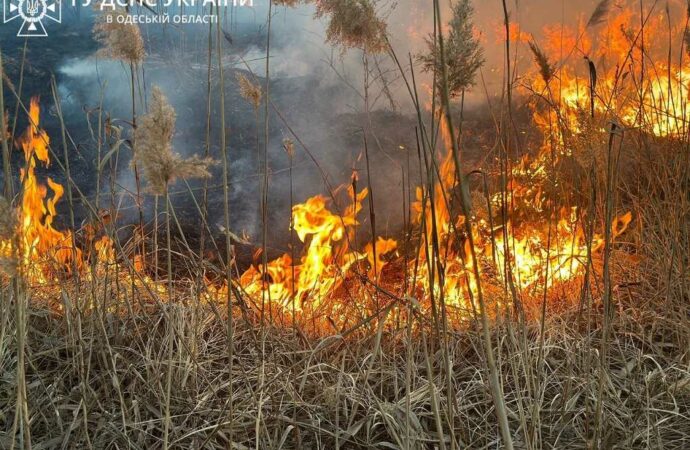 В Одессе тушили огромный пожар — горели поля фильтрации (фото и видео)