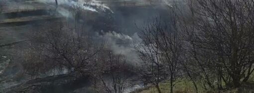Місцеві жителі мало не спалили село, яке примикає до Одеси (фото)