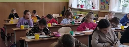 Школы в Балтской громаде возвращаются к привычной форме обучения (видео)