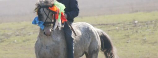 Тодоровден: на Одесщине болгары отметили праздник плодородия и лошадей