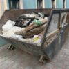Одеситів обурив “труп” корови: його знайшли у смітнику в центрі міста