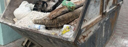 Одесситов возмутил “труп” коровы: его нашли в мусорнике в центре города
