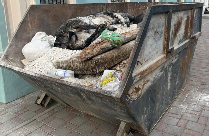 Одесситов возмутил “труп” коровы: его нашли в мусорнике в центре города