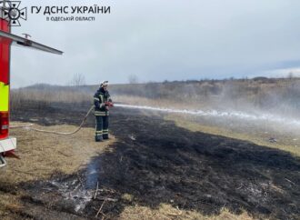 Одесская область: сжигая траву, женщина сгорела заживо, а мужчин оштрафовали