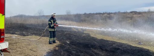 Одесская область: сжигая траву, женщина сгорела заживо, а мужчин оштрафовали
