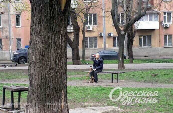 Отдых в одесском сквере